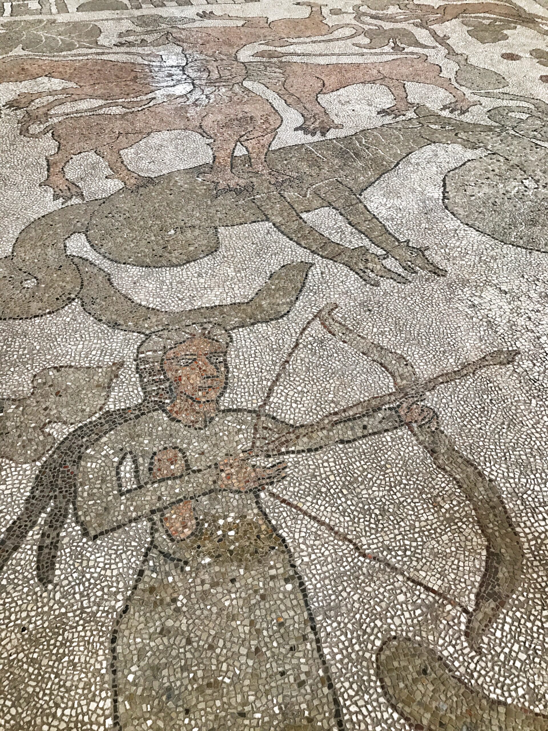 The mosaic floor at the cathedral in Otranto Puglia is impressive.