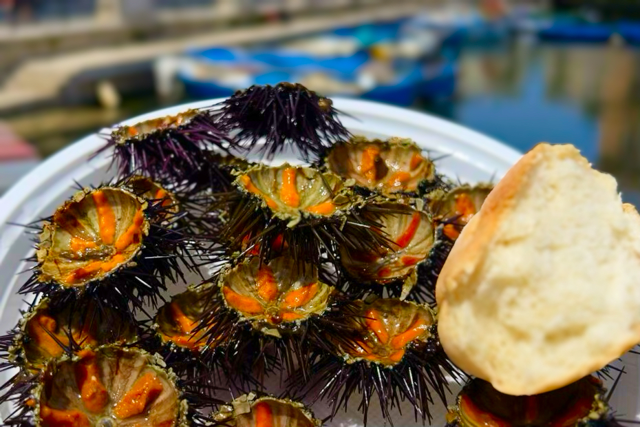 10 Dishes You Must Eat While in Sicily, Global Flavors